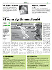 Síða 29