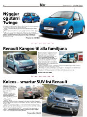 Síða 8
