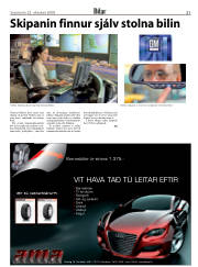 Síða 21