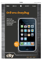 Síða 6