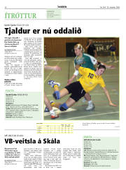 Síða 26