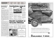 Síða 2