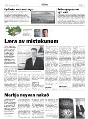 Síða 7