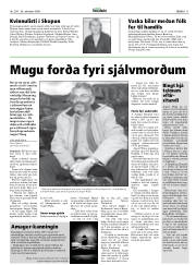 Síða 11