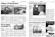 Síða 3