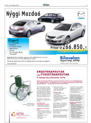 Síða 31