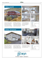 Síða 33