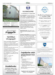 Síða 41