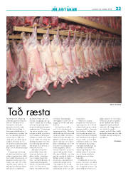 Síða 23
