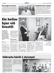 Síða 8