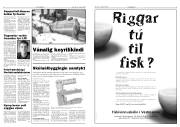 Síða 3