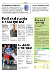 Síða 22