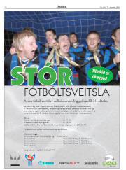 Síða 30