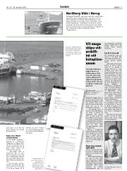 Síða 11