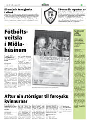 Síða 15