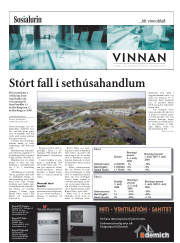 Síða 17