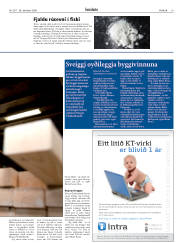 Síða 19