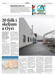 Síða 22