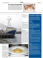 Síða 23