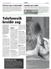 Síða 11