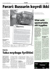 Síða 17