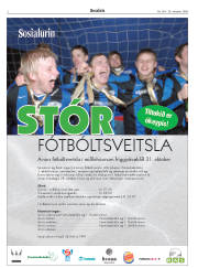 Síða 2