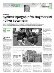 Síða 21