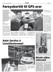 Síða 29