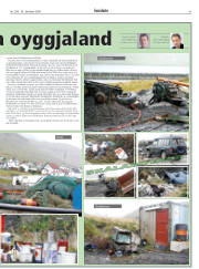 Síða 41