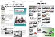 Síða 8