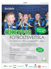 Síða 6