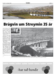Síða 17