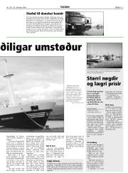 Síða 31