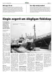 Síða 11