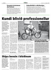 Síða 12