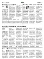 Síða 17