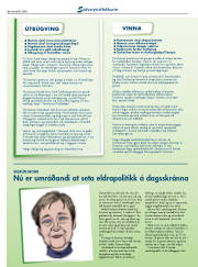 Síða 26