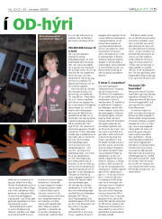 Síða 15