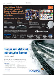 Síða 3