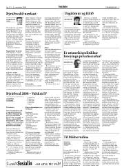 Síða 17