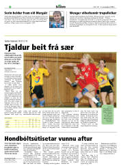 Síða 30