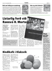 Síða 13