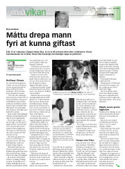 Síða 13