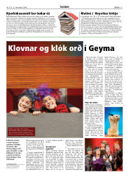 Síða 15