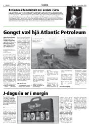 Síða 8