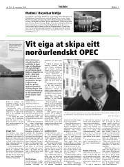 Síða 11