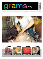 Síða 19