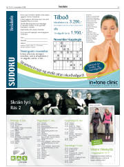 Síða 43