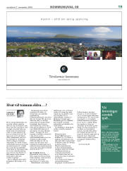Síða 19