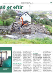 Síða 21